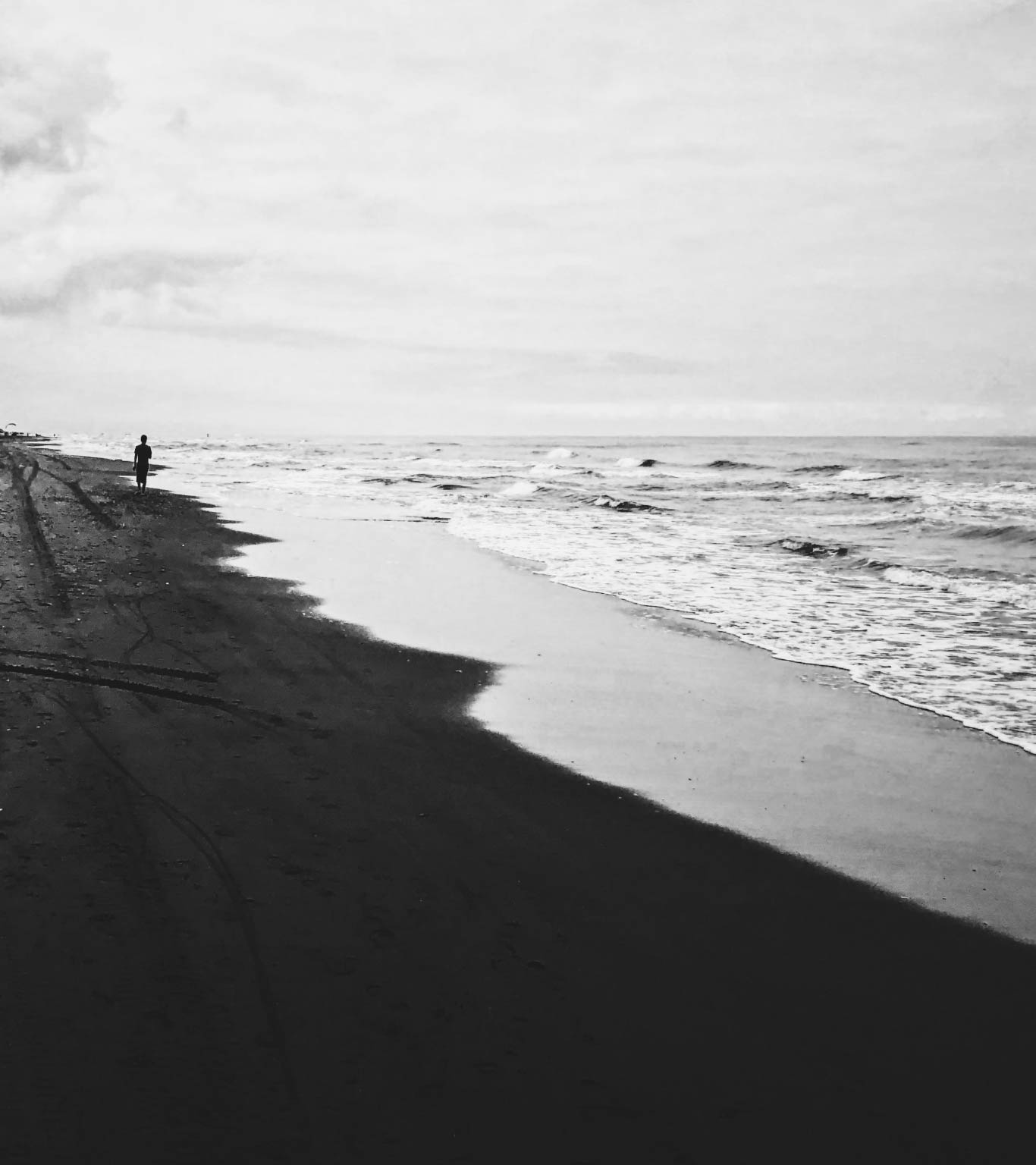 ABOUT | A PART OF NATURE