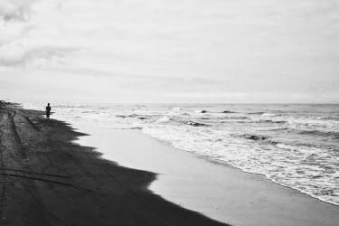 ABOUT | A PART OF NATURE